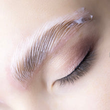 Load image into Gallery viewer, Lift, Lamination &amp; Tint Training (5 courses bundled)
